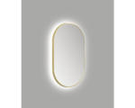 Hornbach LED-Lichtspiegel DSK Bronze oval 60x100 cm