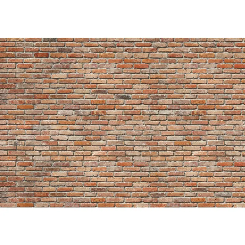 Fototapete 368/254 cm