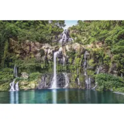 Vliestapete 368/248 cm