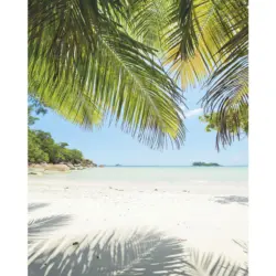 Vliestapete 200/250/cm cm