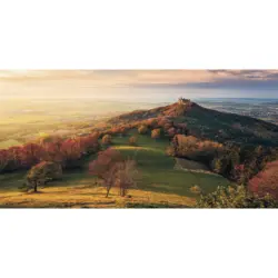 Vliestapete 200/100/cm cm