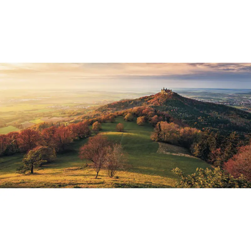 Vliestapete 200/100/cm cm