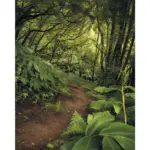 XXXLutz Lauterach - Ihr Möbelhaus bei Bregenz Vliestapete 200/250/cm cm