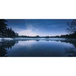 Vliestapete 200/100/cm cm