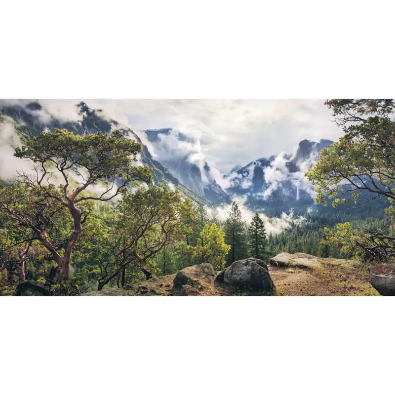 Vliestapete 200/100/cm cm