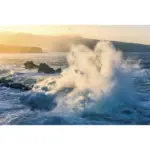 XXXLutz Lauterach - Ihr Möbelhaus bei Bregenz Vliestapete 300/200/cm cm