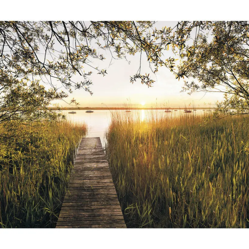 Vliestapete 300/250/cm cm