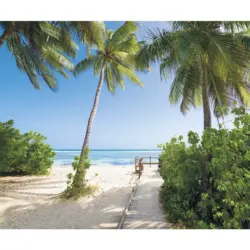 Vliestapete 300/250/cm cm