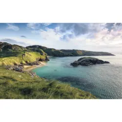 Vliestapete 400/250/cm cm