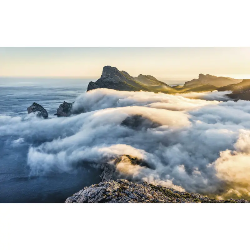 Vliestapete 400/250/cm cm