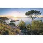 XXXLutz Lauterach - Ihr Möbelhaus bei Bregenz Vliestapete 400/250/cm cm