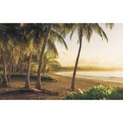 Vliestapete 400/250/cm cm