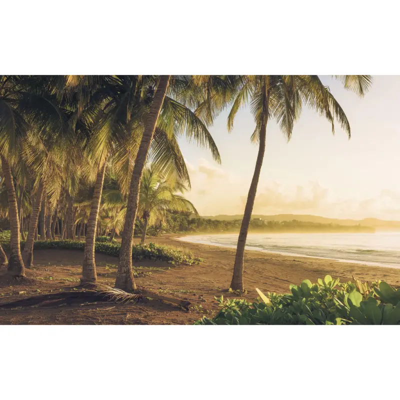 Vliestapete 400/250/cm cm