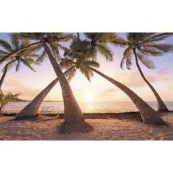 Vliestapete 400/250/cm cm