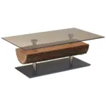 XXXLutz Lauterach - Ihr Möbelhaus bei Bregenz Couchtisch in Holz, Glas 125/75/43 cm