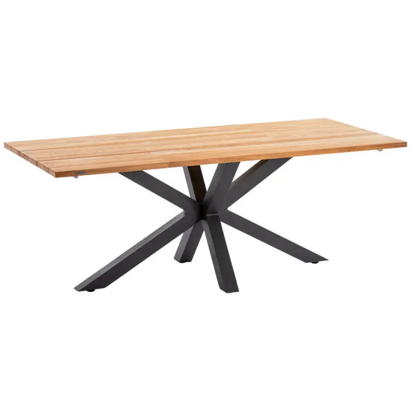 Gartentisch 200/95/76 cm