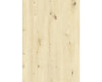 Hornbach d-c-fix® Klebefolie Holdekor Scandinavian Oak 45x200 cm