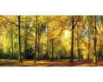 Hornbach Leinwandbild Sunset in forest III 50x100 cm