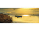 Hornbach Glasbild Sunshine on the lake II 30x80 cm