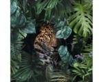 Hornbach Glasbild Jaguar in the jungle 50x50 cm