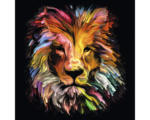 Hornbach Glasbild Colorful Lion Head 30x30 cm