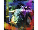 Hornbach Glasbild Colorful Bull Head 50x50 cm