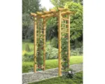 Hornbach Rosenbogen 165 x 80 x 210 cm pinie