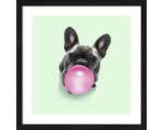 Hornbach Gerahmtes Bild Dogs chewing gum II 33x33 cm