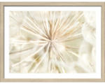 Hornbach Gerahmtes Bild Dandelion I 33x43 cm