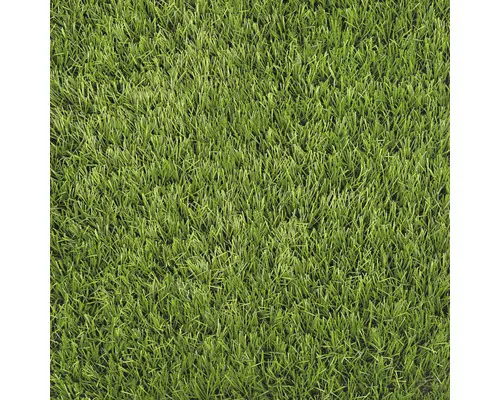 Kunstrasen Foresta mit Drainage grün 400 cm breit (Meterware)