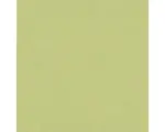 Hornbach PVC-Boden Maxima uni grün 400 cm breit (Meterware)