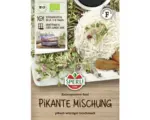 Hornbach Grünsprossen Sperli Bio 'Pikante Mischung'