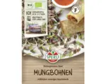 Hornbach Grünsprossen Sperli Bio 'Mungobohne'