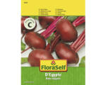 Hornbach Rote Beete 'D'Egypte' FloraSelf samenfestes Saatgut Gemüsesamen - bis 16.04.2024