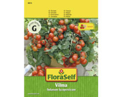 Balkontomate 'Vilma' Gemüsesamen FloraSelf