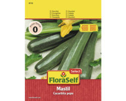 Zucchini 'Mastil' FloraSelf F1 Hybride Gemüsesamen
