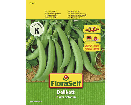 Zuckererbse 'Delikett' FloraSelf samenfestes Saatgut Gemüsesamen