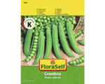 Hornbach Markerbse 'Grandera' FloraSelf samenfestes Saatgut Gemüsesamen