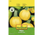 Hornbach Zucchini 'Midas' FloraSelf F1 Hybride Gemüsesamen