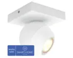 Hornbach Philips hue Spot White Ambiance dimmbar 1x5W 1x350 lm warmweiß-tageslichtweiß HxBxT 103x102x102 mm Buckram weiß inkl Dimmschalter - Kompatibel mit SMART HOME by hornbach