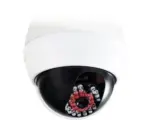 Hornbach Außenkamera Attrappe Nedis® CD20WT Dome in professionellem Design