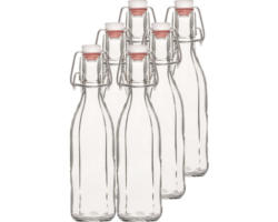 Saftflasche, Vorratsflasche Mehrkant inkl. Bügelverschluss 250ml 6 Stk.