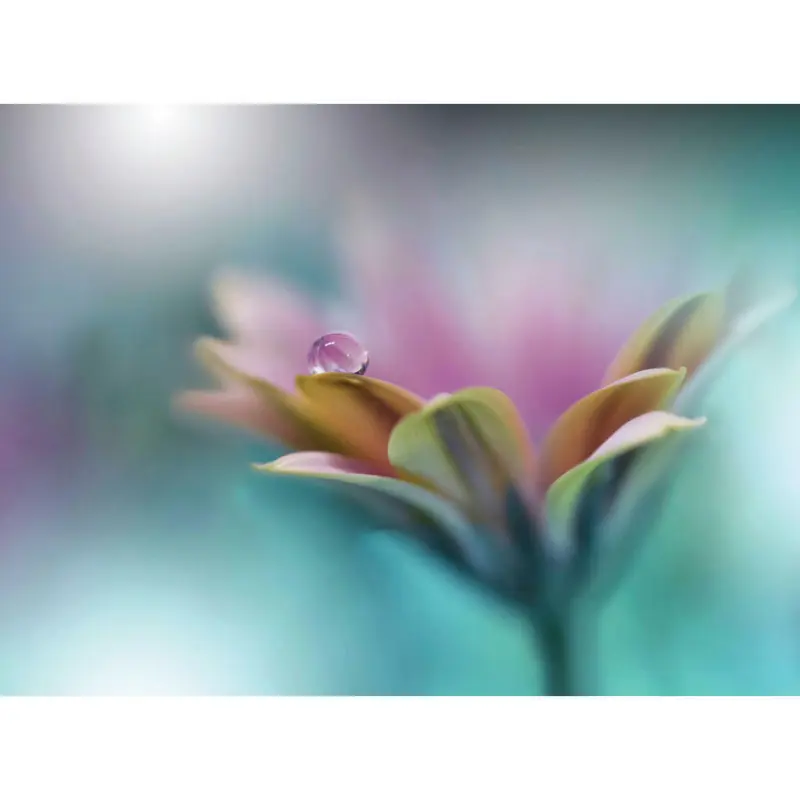 Keilrahmenbild 135/100/3 cm