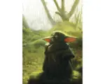 Hornbach Fototapete Vlies IADX4-018 Into Adventure Mandalorian Grogu Acrylic 4-tlg. 200 x 280cm