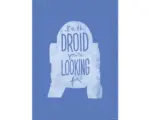 Hornbach Poster Star Wars Silhouette Quotes R2D2 50x70 cm
