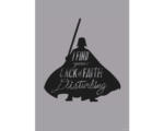 Hornbach Poster Star Wars Silhouette Quotes Vader 50x70 cm