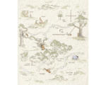 Hornbach Fototapete Vlies IADX4-042 Into Adventure Winnie Pooh Map 4-tlg. 200 x 240 cm