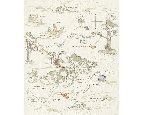 Fototapete Vlies IADX4-042 Into Adventure Winnie Pooh Map 4-tlg. 200 x 240 cm