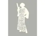 Hornbach Poster Star Wars Silhouette Quotes Leia 40x50 cm