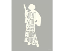 Poster Star Wars Silhouette Quotes Leia 40x50 cm